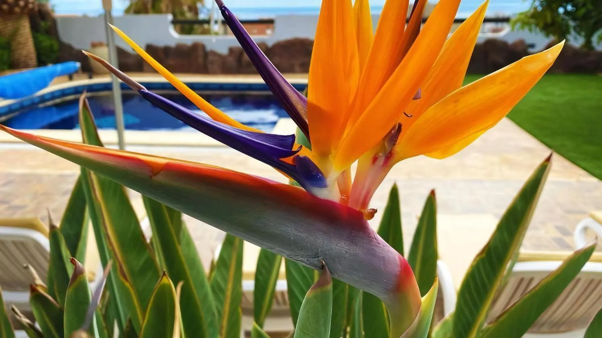 Luxurioese Ferienvilla Fuer Vier Personen Costa Adeje  Holiday home